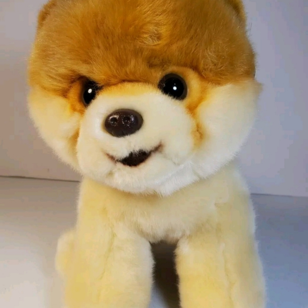 Gund's Cutest Dog In The World Plush Pomeranian Puppy Named Boo!